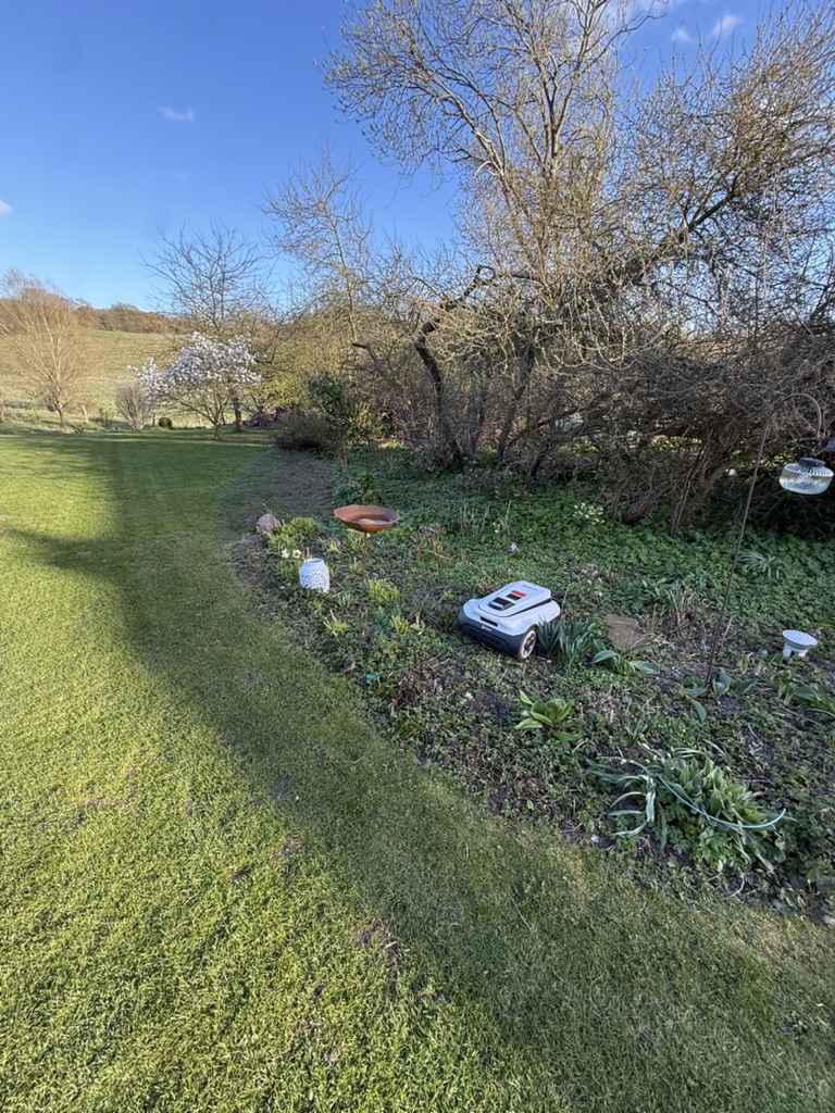 Roboter außerhalb des Rasens an Beetkante